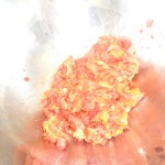 wpid-dscn4274.jpg